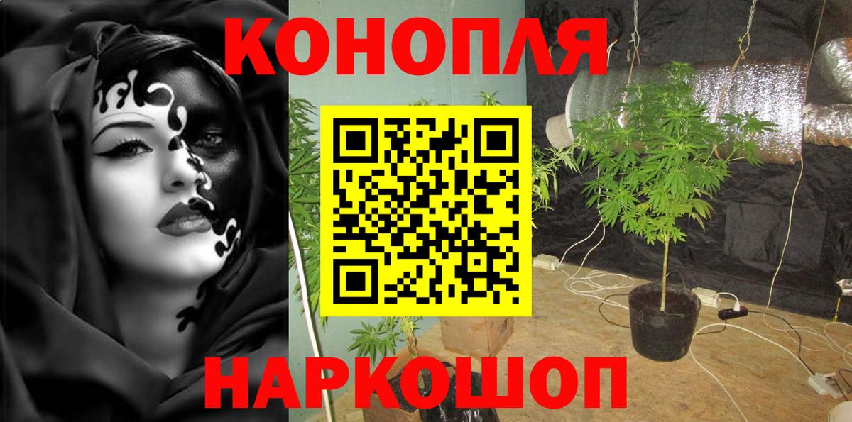 Бошки Шишки Bruce Banner Реж
